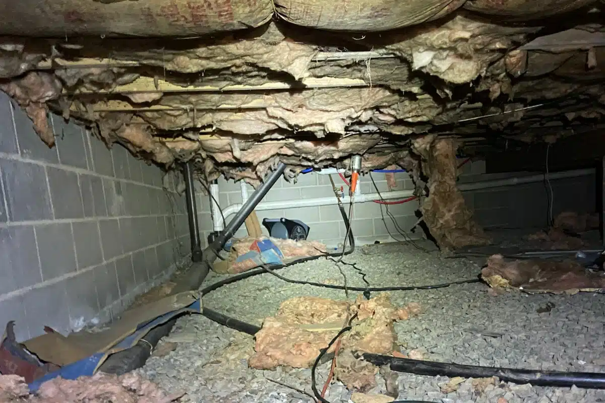 A dirty space with damaged and falling degraded materials contributes to poor insulation in Reston, VA, causing crawl space issues.