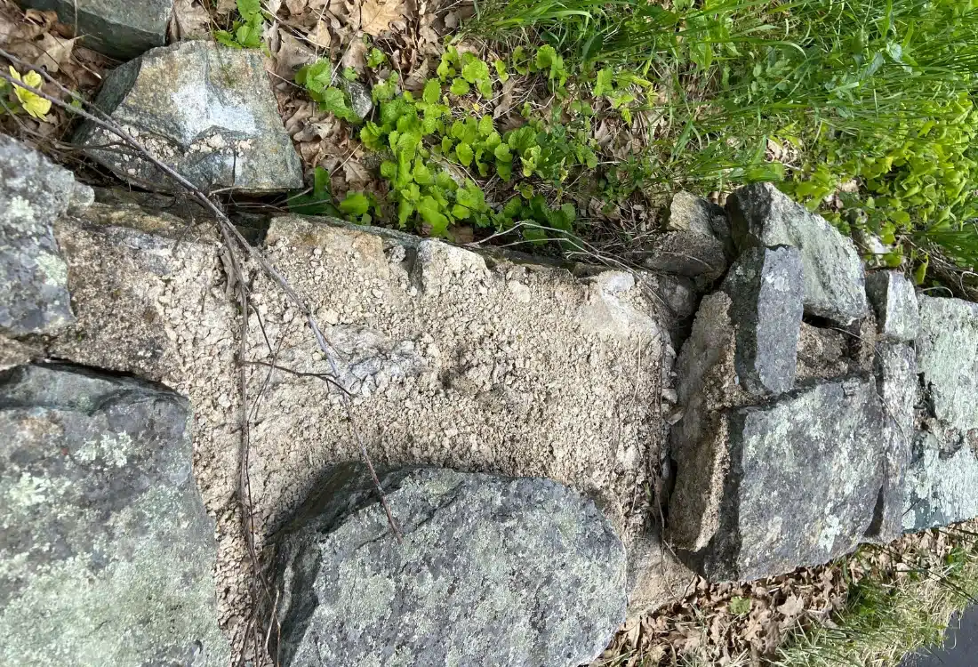 Deteriorated stone walls along Skyline Drive in Shenandoah National Park with vegetation overgrowth and missing stones.