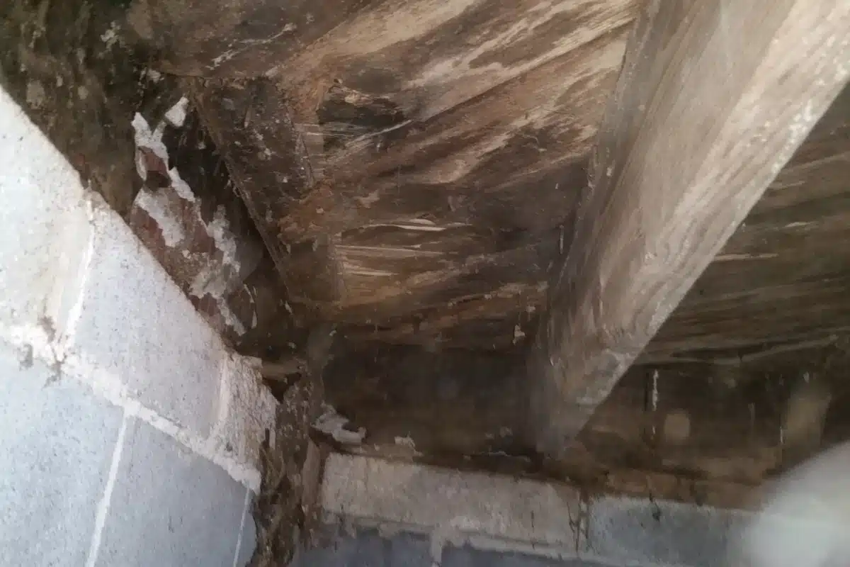 Crawl space beams with visible water damage, showing deteriorating materials caused improper crawl space support system in White Post, VA.