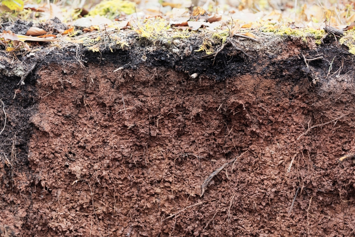 A close-up of soil with reddish hues shows how the high clay content of expansive soil in Stephens City, VA, causes crawl space issues.