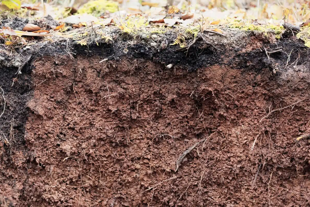 A close-up of soil with reddish hues shows how the high clay content of expansive soil in Stephens City, VA, causes crawl space issues.