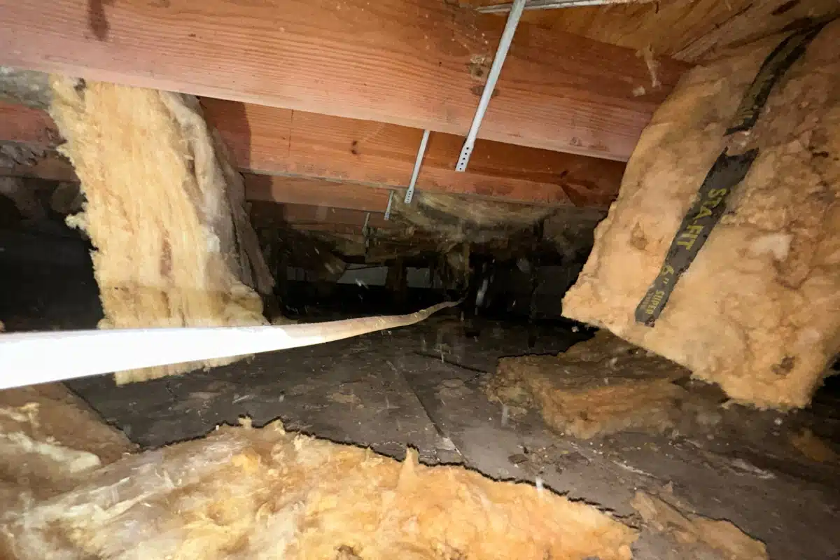 Crawl Space with falling damaged insulation from improper installation in Alexandria, VA, allowing moisture infiltration.