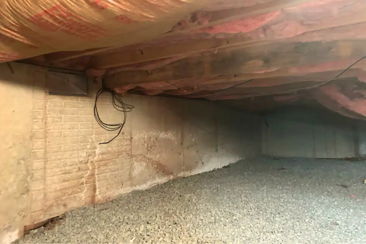 A dirty crawl space with mold and lack of a vapor barrier, showing poor insulation in Ashburn, VA causing moisture issues.