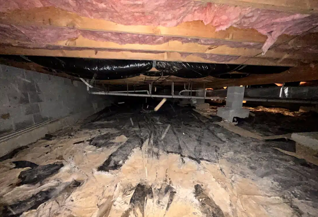 Damp and unhealthy area before crawl space smell elimination in Clear Brook, VA.