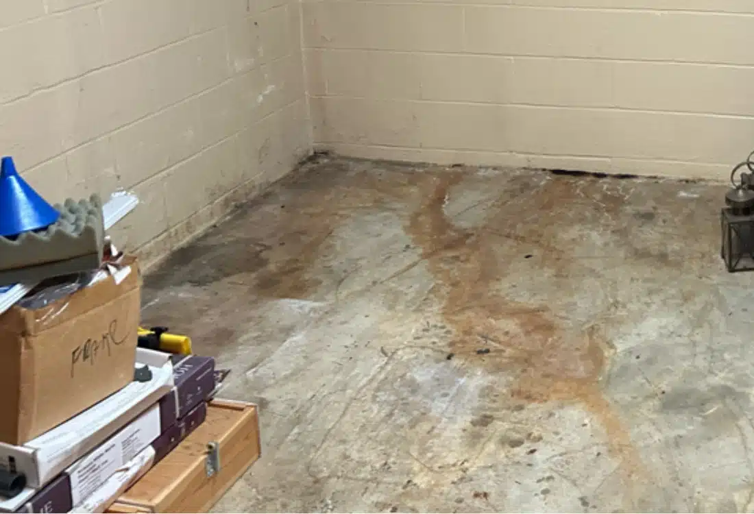 Basement in Berryville, VA, showing water stains and no drainage system, leading to persistent moisture and unusable space.