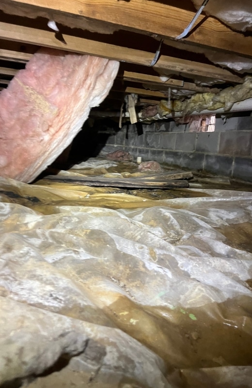 A damp, musty area causes crawl space problems in Fairfax, VA, like poor ventilation, humidity, and leaks.