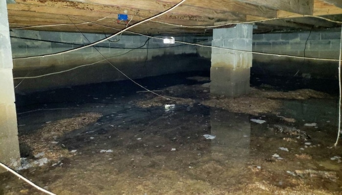 Damp, filthy crawl space with musty odor in Fairfax, VA, requiring expert repair services to prevent damage and mold.