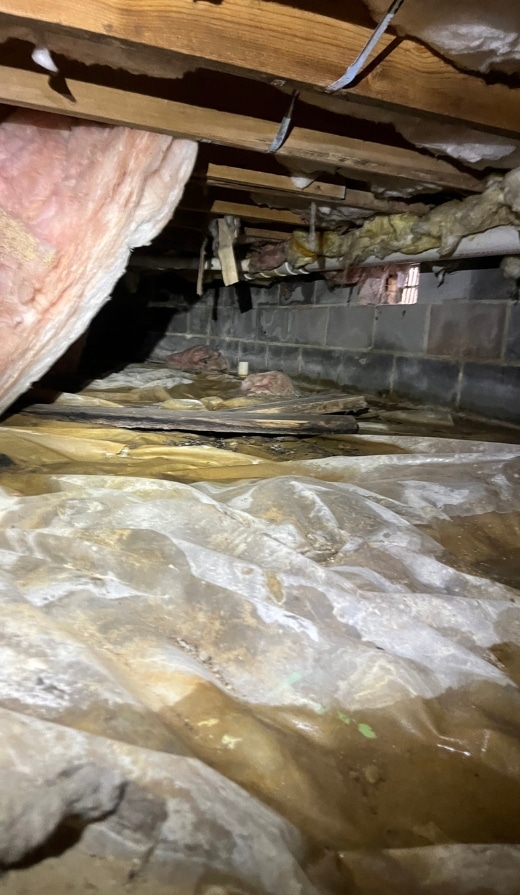 Damp, musty, and filthy space, showing the causes of crawl space problem crawl space in Berryville, VA like moisture infiltration.