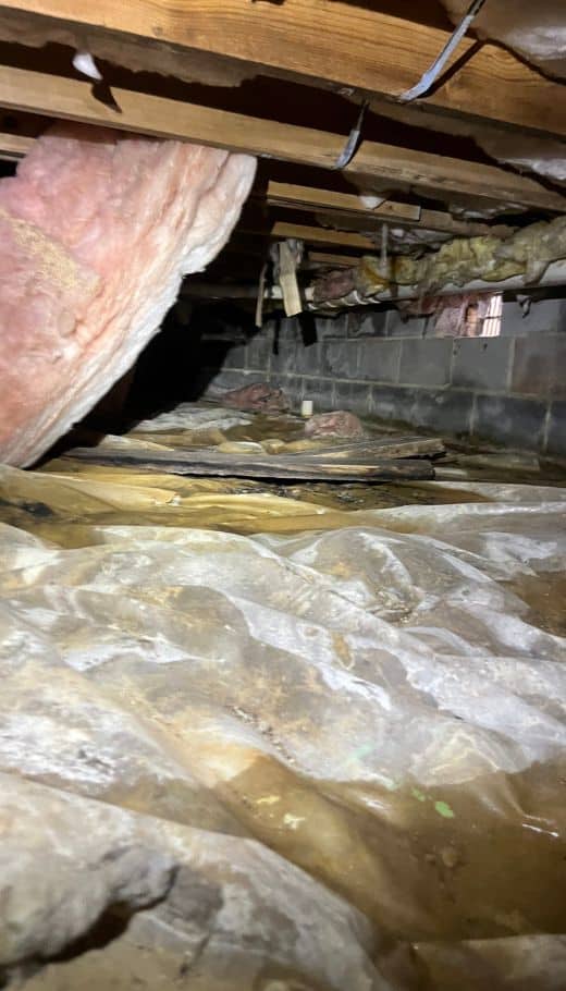 Damp, musty crawl space, highlighting the causes of crawl space problems in Front Royal, VA, such as moisture and mold buildup.