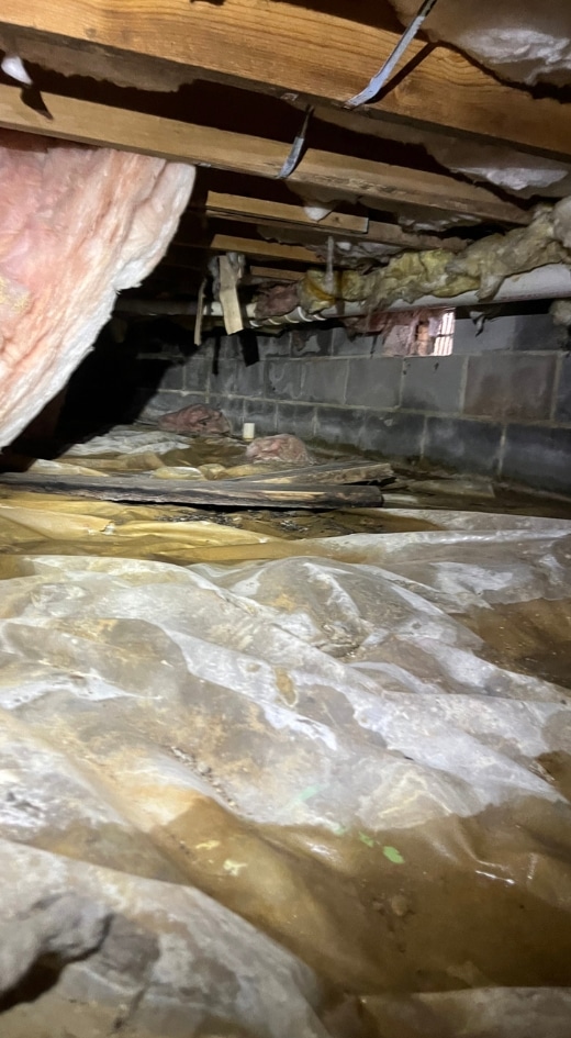 Damp, musty, with damaged insulation, a common cause of crawl space problems in Winchester, VA, requires expert repair services.