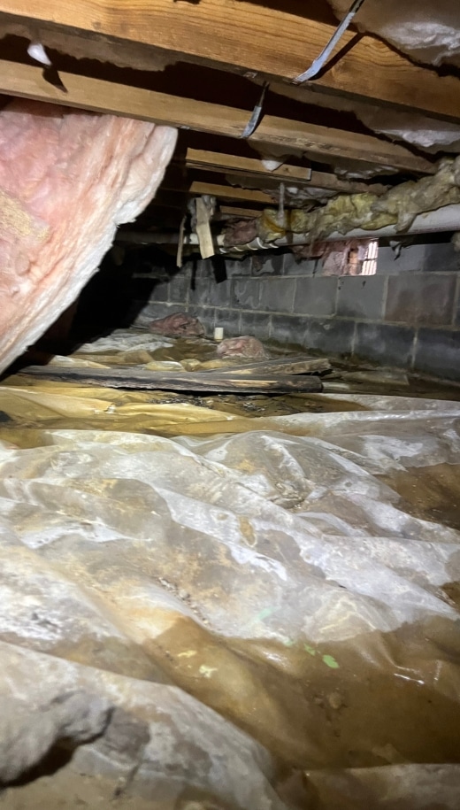 Damp and musty crawl space, showing common causes of crawl space problems in Charles Town, WV, requiring professional repair solutions.
