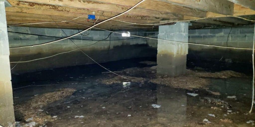 Standing water in crawl space in Northern, VA, with musty lingering smell, highlighting causes, risks, and repair solutions.