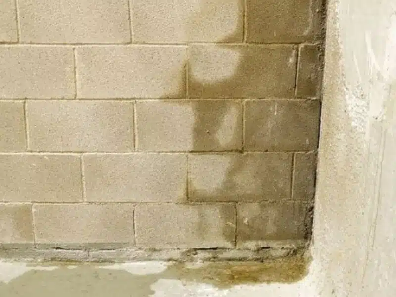 Water seeping through cracks in a foundation wall, creating pathways for water in crawl space in White Post, VA.