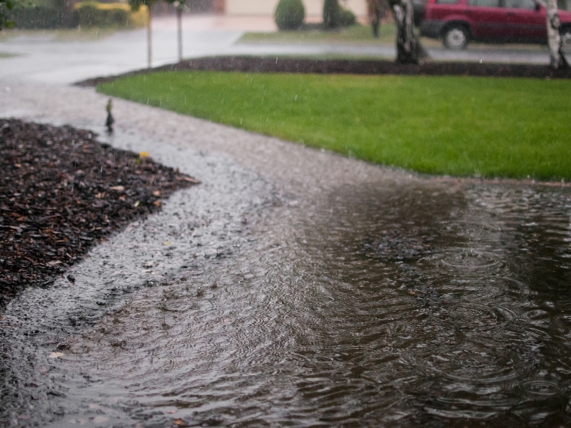 Yard water puddles due to high groundwater that can lead to standing water in crawl space in Stephens City, VA.