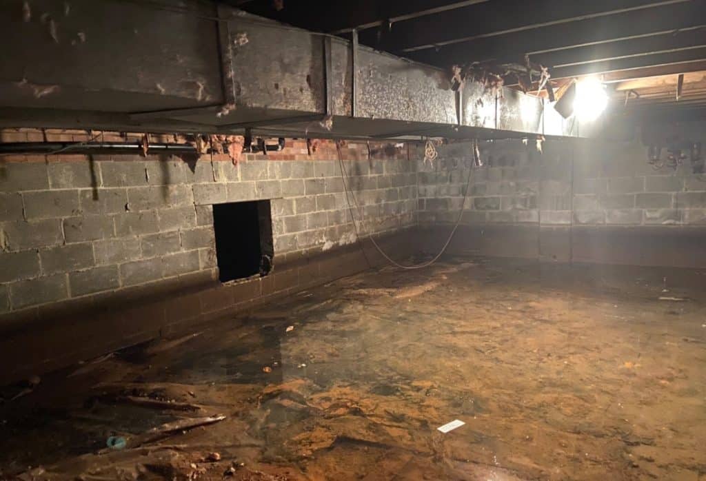Damp crawl space with puddles, mold, and rotted floor joists showing why water in crawl space is not normal in Winchester, VA.