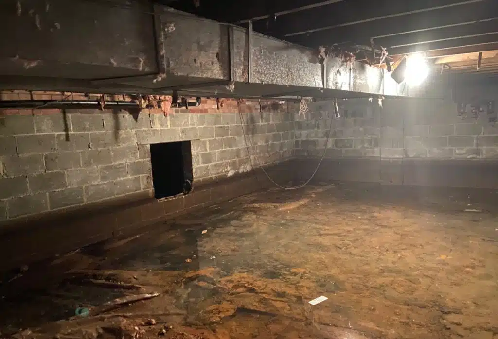 Damp crawl space with puddles, mold, and rotted floor joists showing why water in crawl space is not normal in Winchester, VA.