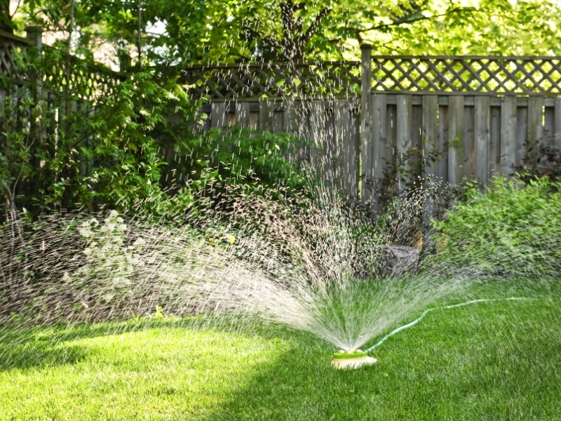 Lawn sprinklers spraying too close to foundation, causing soil saturation and water in crawl space in Front Royal, VA.