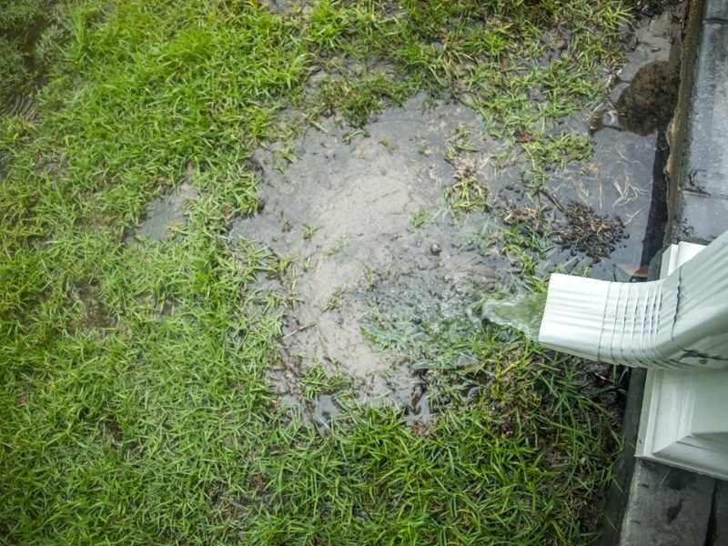 Rainwater flowing near a foundation due to short downspouts, leading to water in crawl space in Linden, VA.