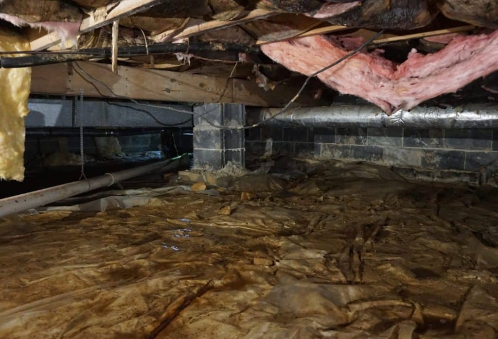 Ignored crawl space water in Alexandria, VA, with mold, wood rot, and structural damage inside a home’s foundation.