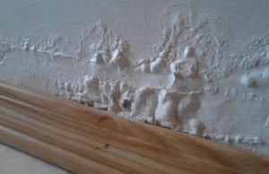 Bubbling paint on a finished basement wall in Fairfax, VA, a sign of basement flooding.