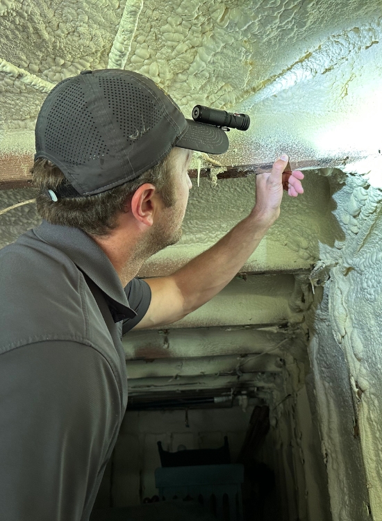 Expert inspecting beams before crawl space mold removal in Winchester, VA, using EPA-approved crawl space mold removal products.