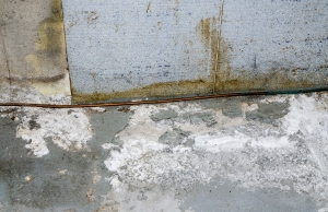 Mold and white efflorescence on a damp basement floor in White Post, VA, a sign of potential basement flooding.