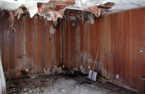 A damp basement with a musty odor in Charles Town, WV, a sign of basement flooding.