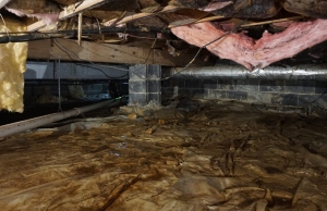 Musty smells from damp crawl space insulation and wood, signs of moisture under the house in Flint Hill, VA.
