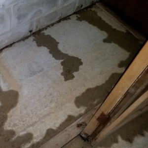 Water seeping through an unsealed basement wall due to poor waterproofing, causes of basement flooding in Front Royal, VA.