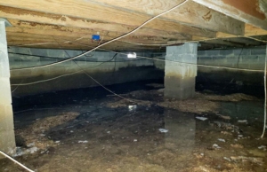 Standing water in the crawl space, signs of moisture under the house in Berryville, VA.