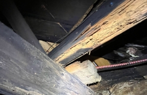 Buckling or warping wood beams, signs of moisture under the house in Manassas, VA.