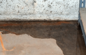 Water pooling near a home foundation in Alexandria, VA, after heavy rain, a sign of basement flooding.