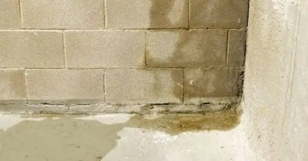Basement wall with visible moisture stains and water seepage caused by poor downspout drainage in a Harrisonburg, VA home's foundation.