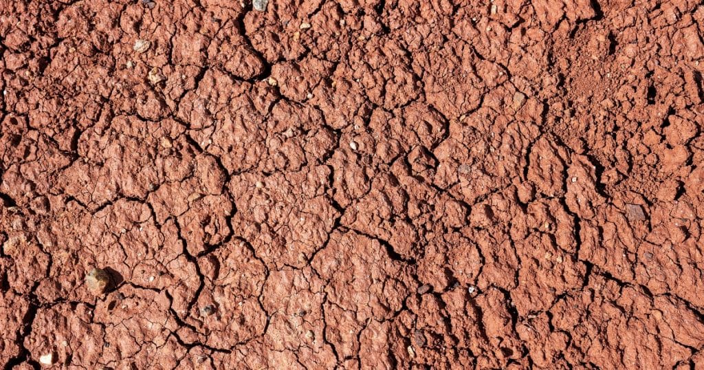 Close-up of clay-rich soil, which holds moisture longer and increases drainage problems in Martinsburg, WV, homes' foundations.