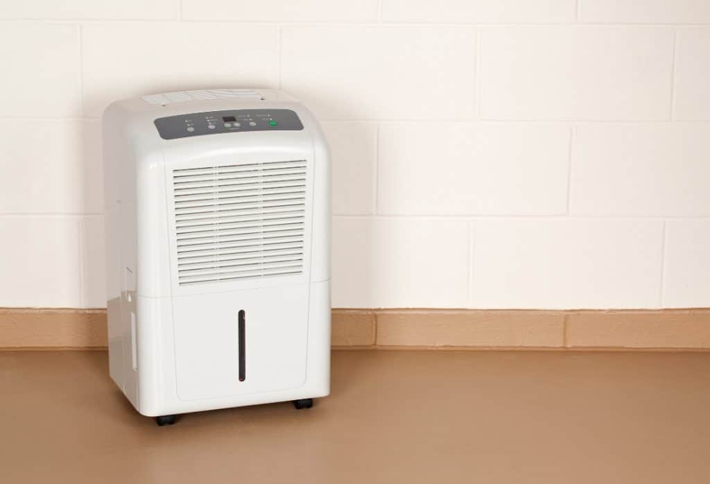 10 Proven and Easy Steps to Get Rid of a Musty Basement Smell