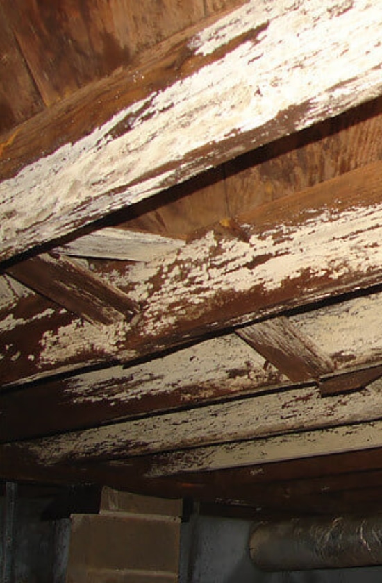 Basement wood rotting on beams and joists caused by moisture, needing basement wood rot treatment in Winchester, VA
