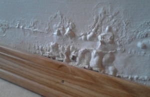 Flaking and bubbling paint on a basement wall in Alexandria, VA, showing moisture damage and early signs of water intrusion.