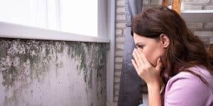 Homeowner examining a basement wall with visible mold causing a strong musty smell in Winchester, VA.