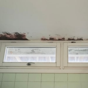 High moisture and humidity buildup above a basement window causing paint bubbling and surface damage on interior walls in Reston, VA.