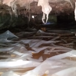 A crawl space with a damaged vapor barrier and moisture intrusion causes of crawl space wood rotting in Bristow, VA.