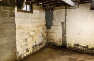 Damp basement wall with dark moisture staining and musty odors in White Post, VA, a sign of peeling paint from trapped moisture.