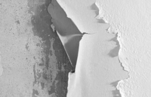 Paint peeling off basement walls in large sections in Berkeley, WV, a sign of water damage behind the foundation.