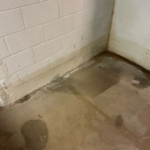 Water seeping behind basement wall paint in Flint Hill, VA, causing bubbling, peeling, and visible moisture damage.