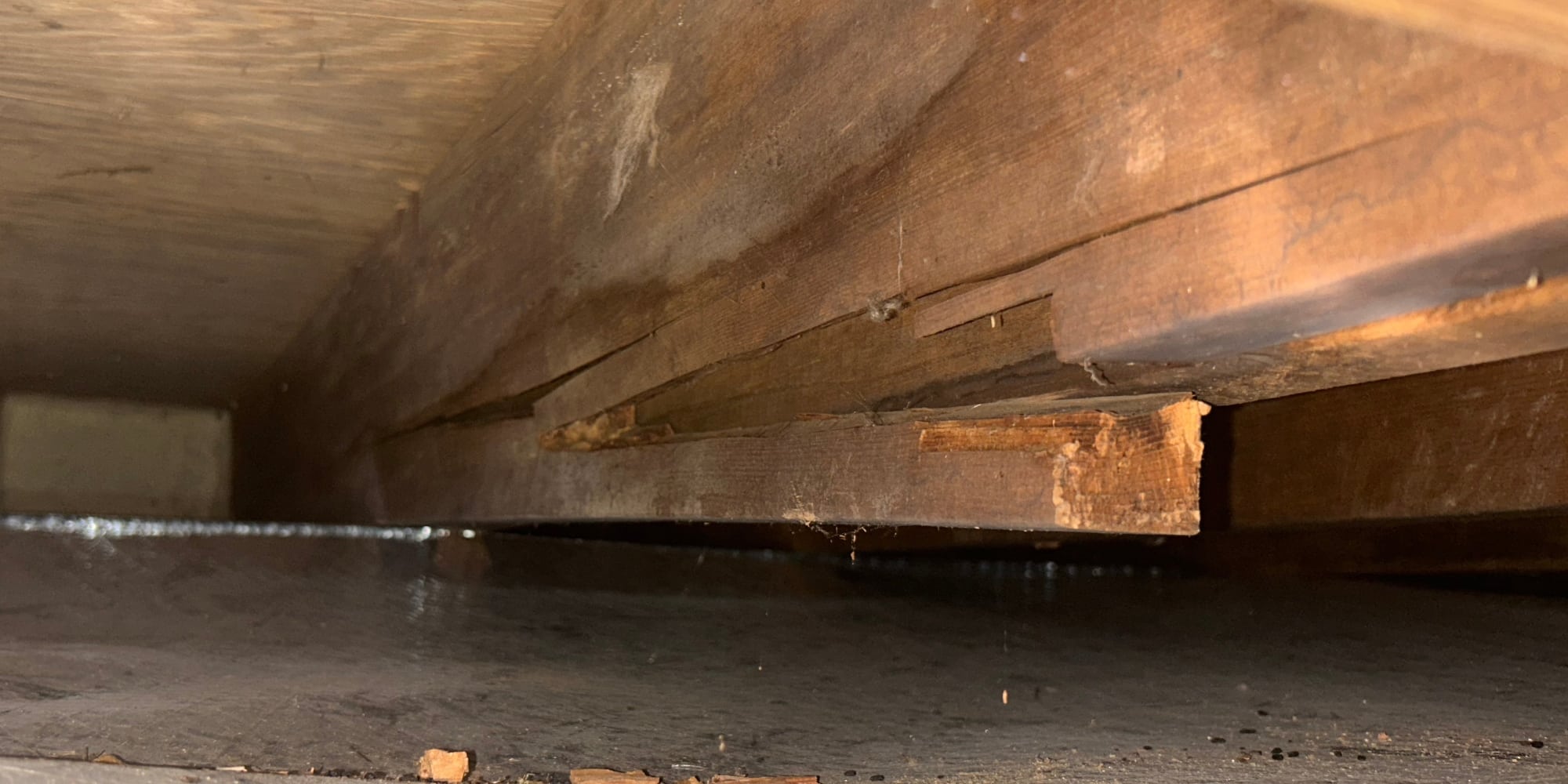 Cracked and splitting crawl space floor joist, showing wood separation and structural damage, causing sagging floors in Northern, VA.