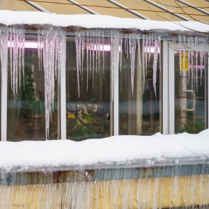Frozen runoff along a foundation wall showing repeated freeze-thaw moisture cycles, causing a sinking concrete slab in Ashburn, VA.