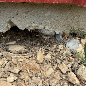 Loose, poorly compacted fill soil and voids beneath a slab edge, causing a sinking concrete slab in Stephens City, VA.