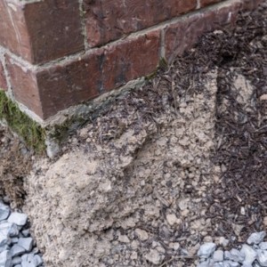 Exposed, washed-out soil along a brick foundation corner creating voids, a cause of a sinking concrete slab in Harpers Ferry, WV.