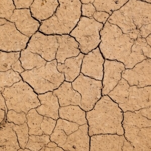 Dried, cracked clay soil showing shrinkage patterns from moisture loss, causing uneven basement floors in Alexandria, VA.