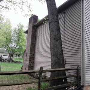 Large tree trunk growing close to the house foundation with invasive roots causing sinking foundation in Gainesville, VA.