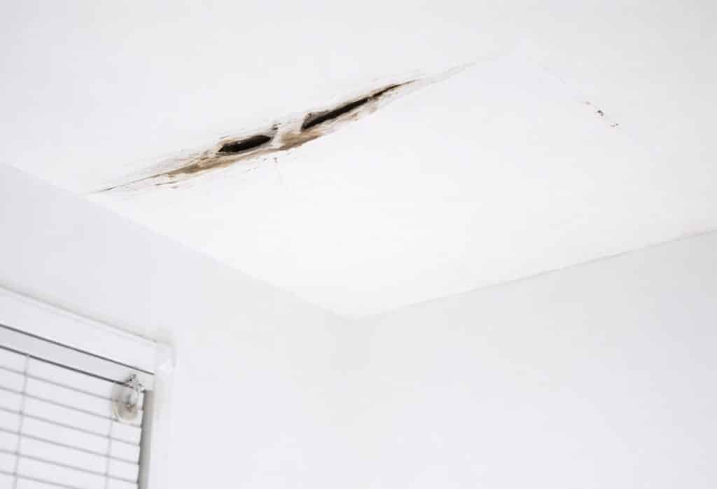 What Do Ceiling Cracks Mean? Types, Causes & When to Worry